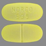 Norco 10-325 mg