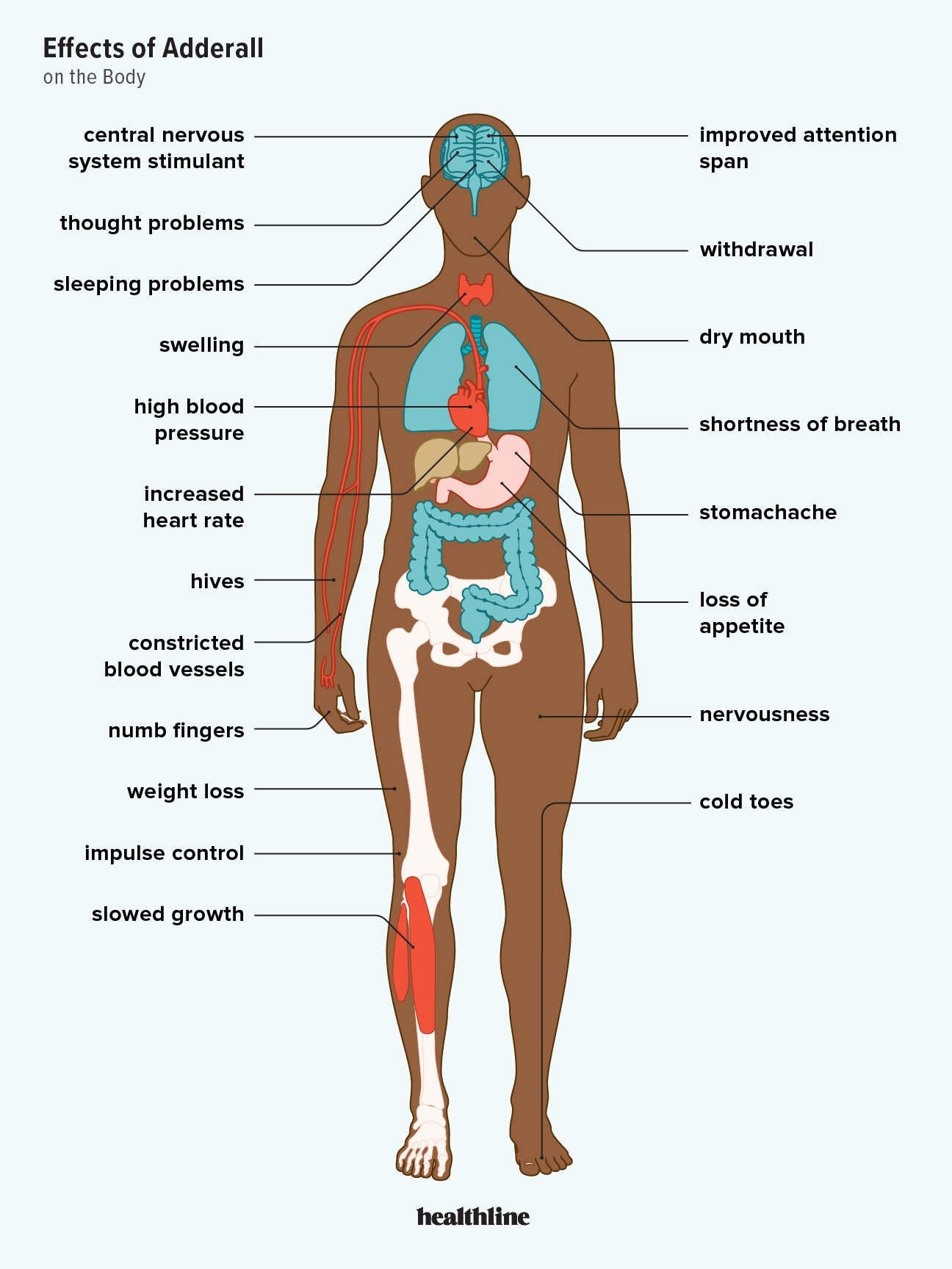 The Effects of Adderall on Your Body The Effects of Adderall on Your Body