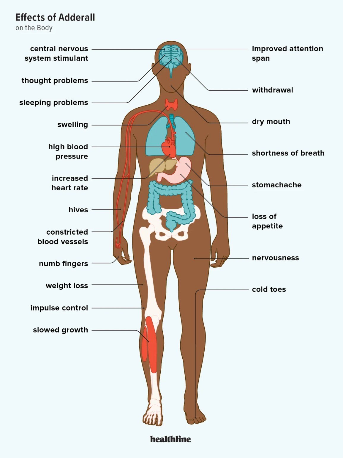 The Effects of Adderall on Your Body The Effects of Adderall on Your Body