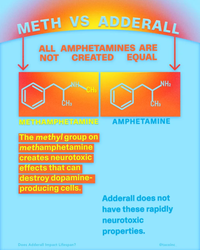 Does Adderall Impact Lifespan? — TACO Inc